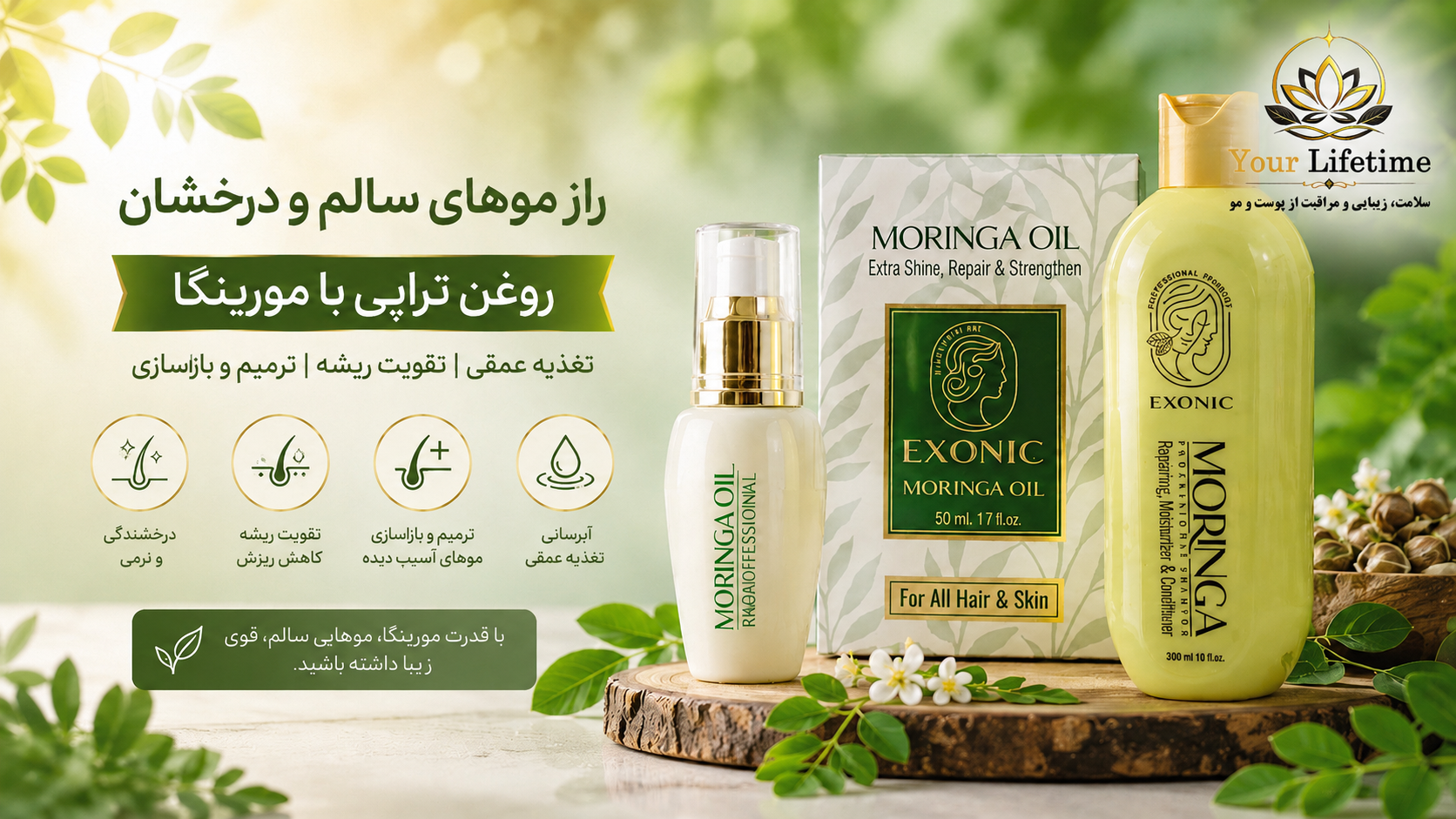 روغن تراپی با مورینگا چیست؟ خواص روغن مورینگا و شامپو مورینگا برای داشتن موهایی سالم و درخشان
