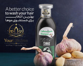 شامپو کافئین سیر