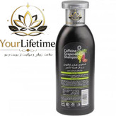 شامپو کافئین و روغن هسته انگور بیز - اصل