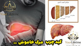 دمنوش شاهتره - مصفی خون اصل - ۱۲۰ عددی